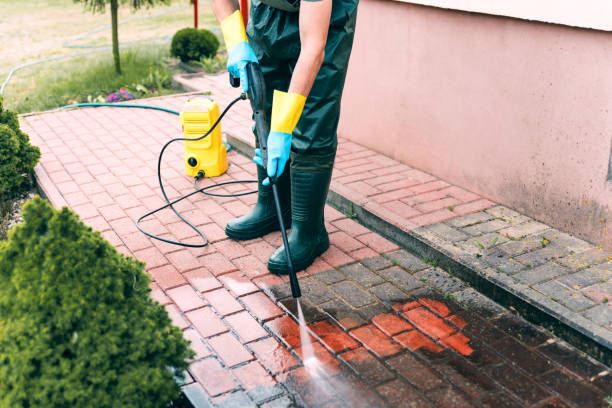 Best Sidewalk Pressure Washing  in Wood River, NE