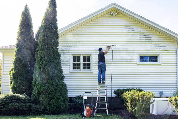 Best Pressure Washing Driveway  in Wood River, NE