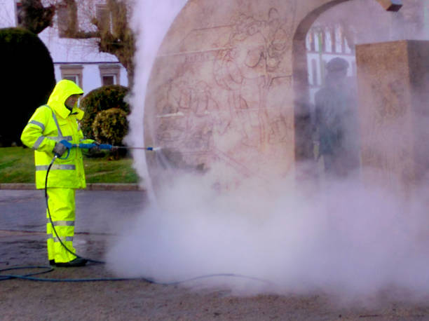 Best Roof Pressure Washing  in Wood River, NE